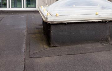 disadvantages of Haa Of Houlland flat roofs