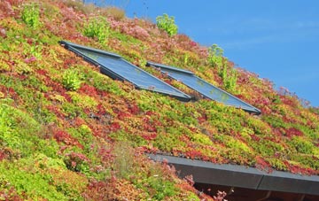 Haa Of Houlland living roof systems