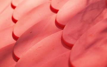 Haa Of Houlland plastic roof costs