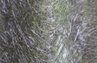 Haa Of Houlland fibreglass roof work